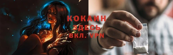 соль ск Михайлов