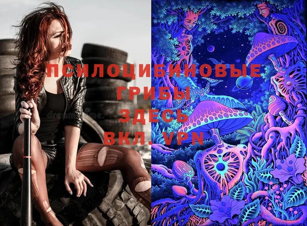 шишки Михайловка