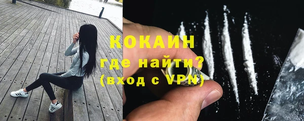 шишки Михайловка