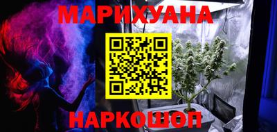 шишки Шелехов