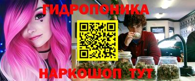 шишки Шелехов