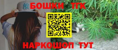 шишки Шелехов