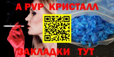 шишки Шелехов