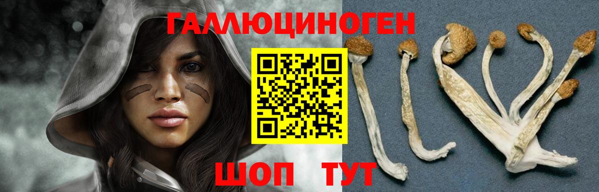 Галлюциногенные грибы прущие грибы Прокопьевск