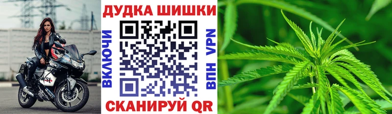 Бошки марихуана сатива  ссылка на мегу маркетплейс  Прокопьевск 